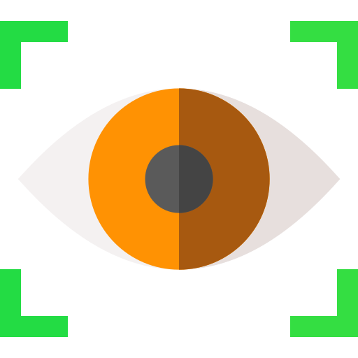 Vision